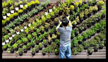 الصعود العمودي: العجائب المتفتحة في كل البعد