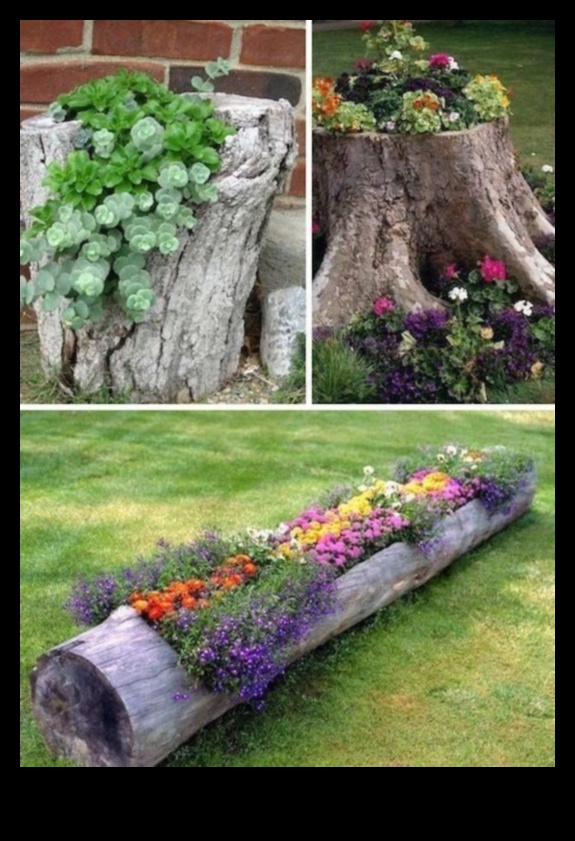 بلوم على الميزانية: مشاريع حديقة DIY التي تبهر