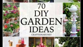 بلوم على الميزانية: مشاريع حديقة DIY التي تبهر