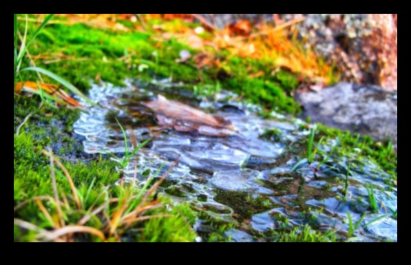 وجهات نظر هادئة: مناظر طبيعية هادئة وهادئة