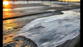 وجهات نظر هادئة: مناظر طبيعية هادئة وهادئة