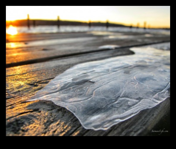 وجهات نظر هادئة: مناظر طبيعية هادئة وهادئة