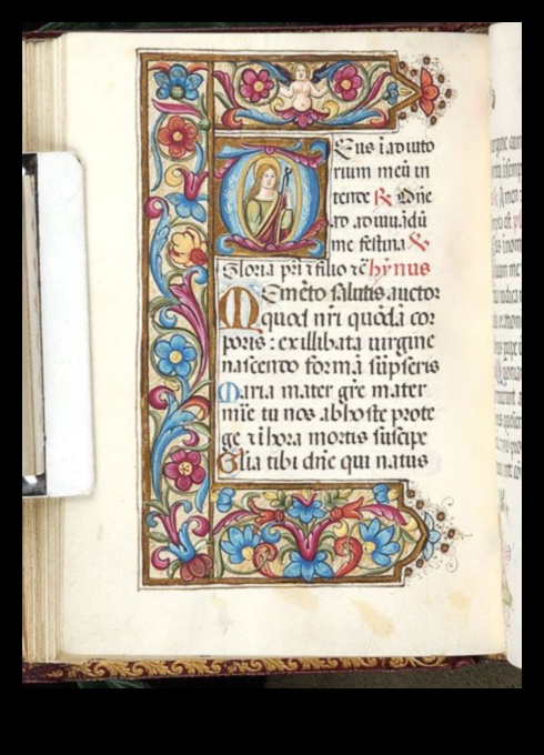 الخط والتمرير فن الخط في مخطوطات عصر النهضة 2 النص والتمرير: فن الخط في مخطوطات عصر النهضة