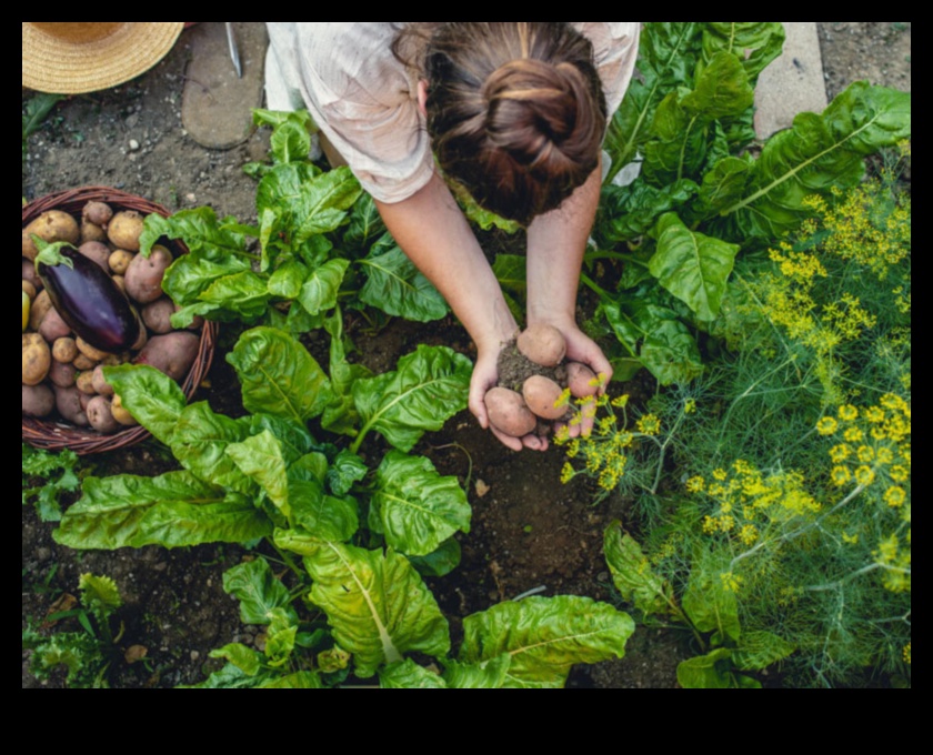 رعاية الطبيعة كيف يمكن أن تساعدك البستنة على التواصل مع العالم الطبيعي 5 رعاية الطبيعة: احتضان هدايا البستنة