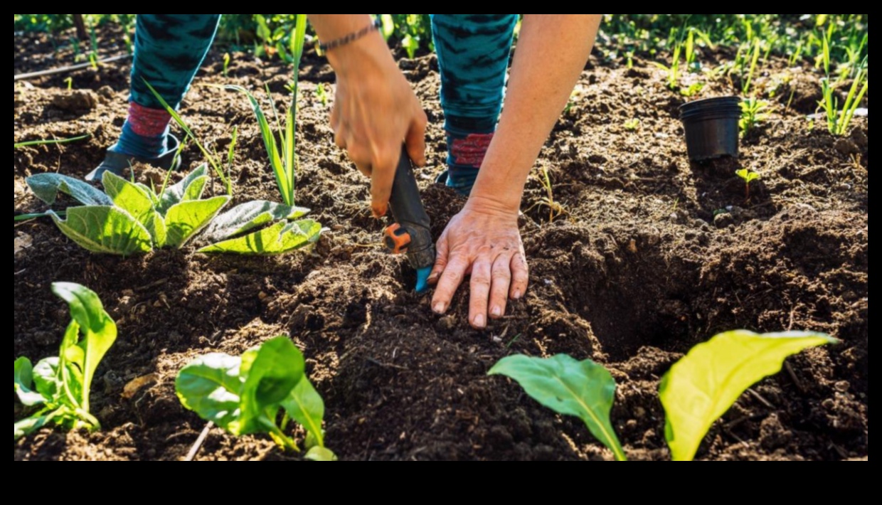 رعاية الطبيعة كيف يمكن أن تساعدك البستنة على التواصل مع العالم الطبيعي 4 رعاية الطبيعة: احتضان هدايا البستنة