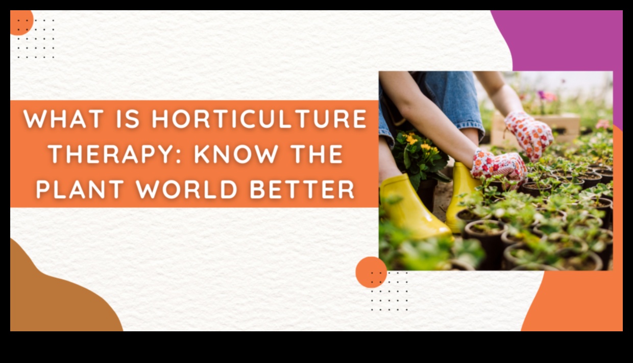 رعاية الطبيعة كيف يمكن أن تساعدك البستنة على التواصل مع العالم الطبيعي 3 رعاية الطبيعة: احتضان هدايا البستنة