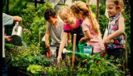 رعاية الطبيعة: احتضان هدايا البستنة