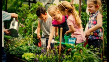 رعاية الطبيعة: احتضان هدايا البستنة