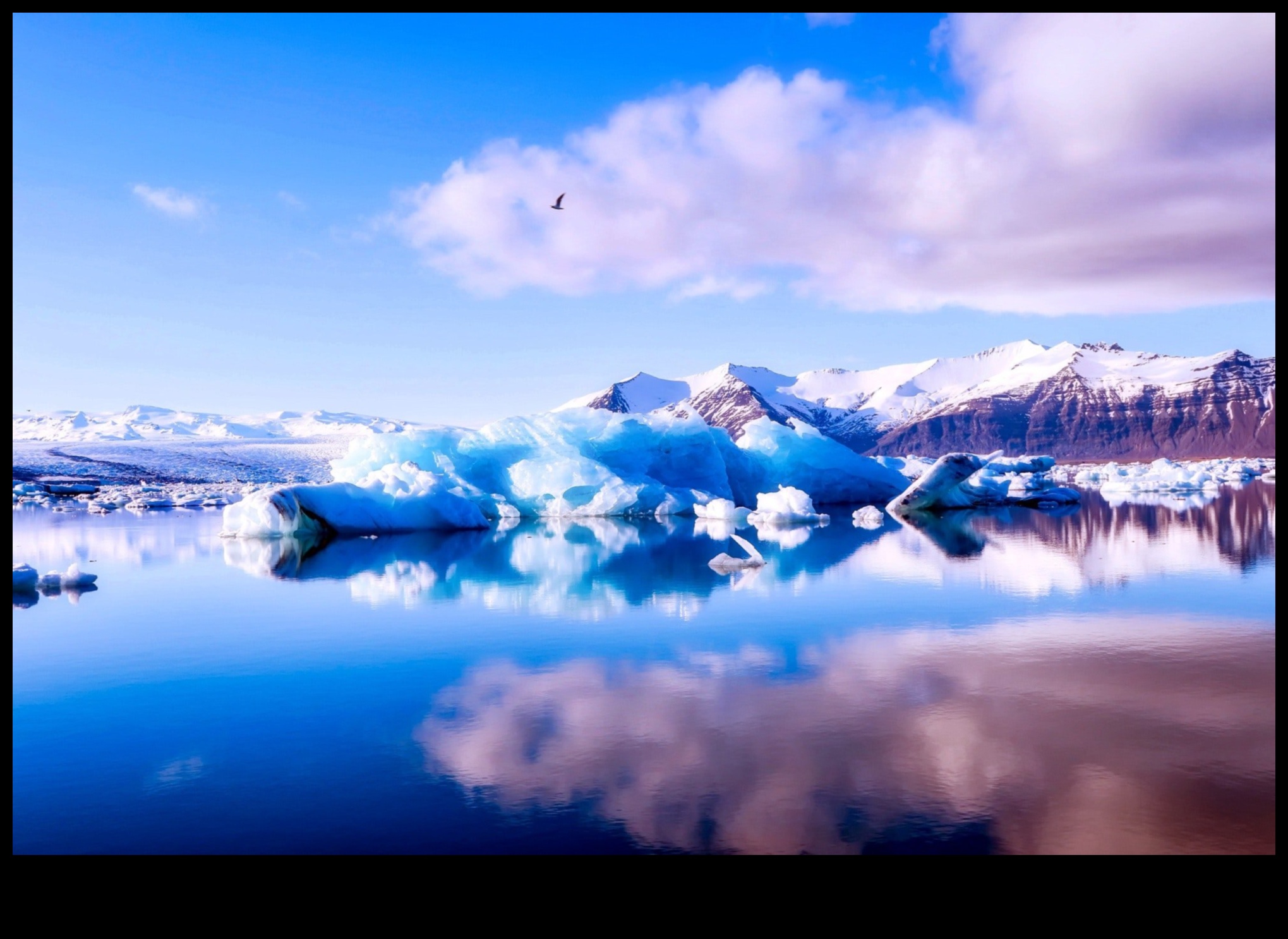 تعويذة الشتاء: المناظر الطبيعية الساحرة المغطاة بالثلوج