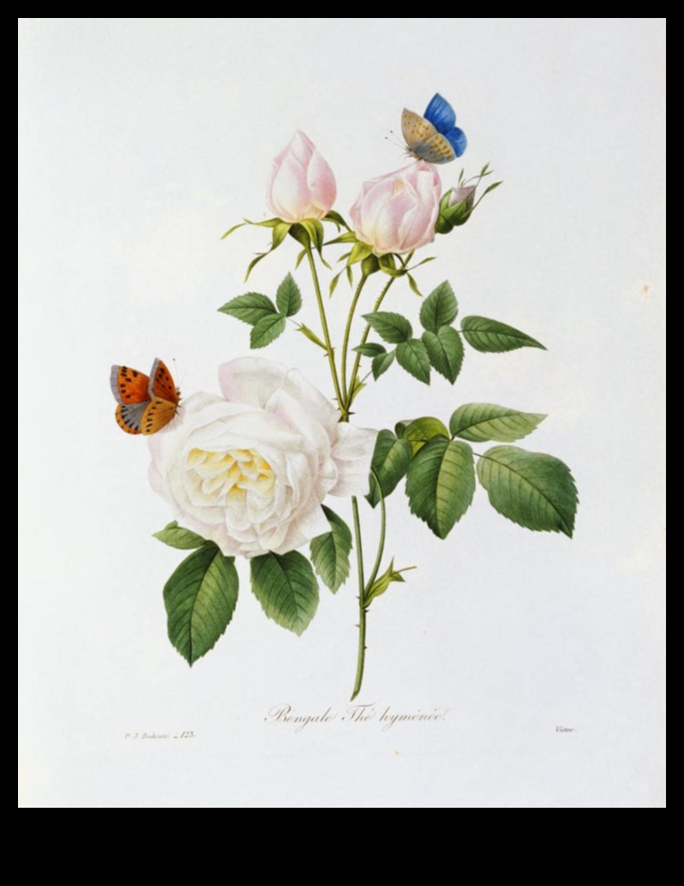 الشعر المرئي: مناظر طبيعية معبرة في مجموعة آسرة