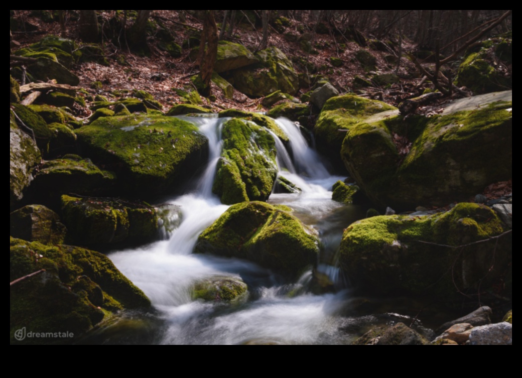 الشعر المرئي: مناظر طبيعية معبرة في مجموعة آسرة