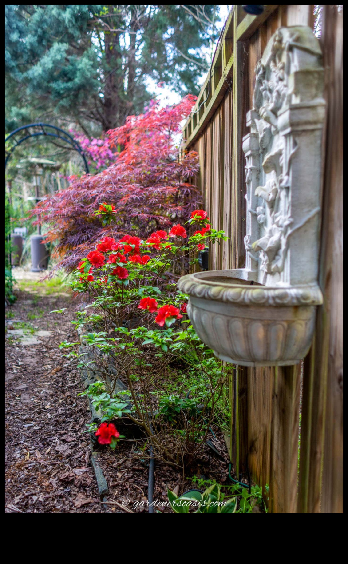 تنمية الرؤية كشف أسرار تصميم الحدائق 3 زراعة الرؤية: فتح أسرار تصميم الحدائق