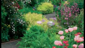 زراعة الرؤية: فتح أسرار تصميم الحدائق