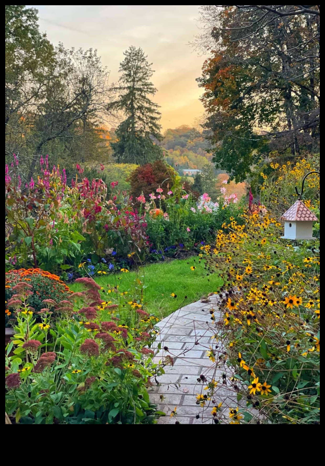 بلوسوم بليس: دليلك لصيانة الحدائق على مدار العام