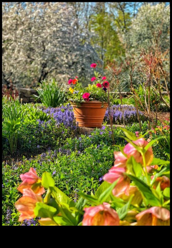 بلوسوم بليس: دليلك لصيانة الحدائق على مدار العام