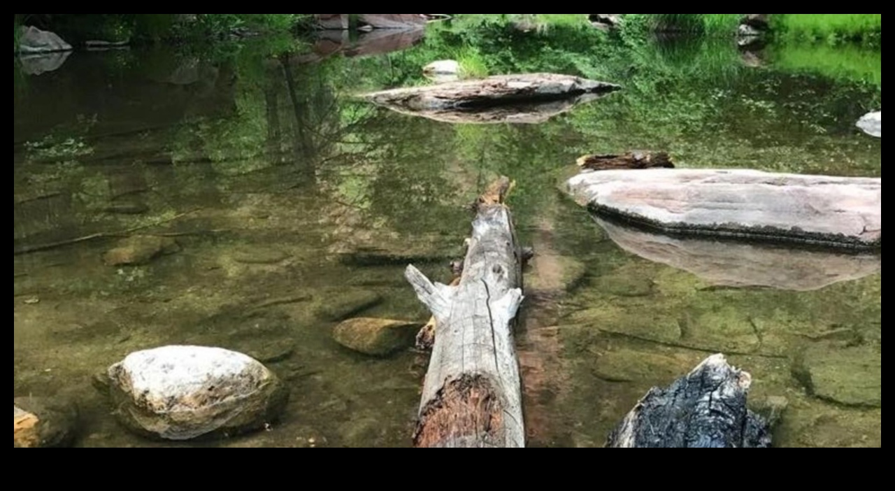 البحيرات والبرك المائية العجائب 4 مرايا الهدوء: استكشاف البحيرات والبرك