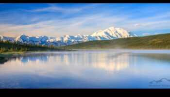 مرايا الهدوء: استكشاف البحيرات والبرك