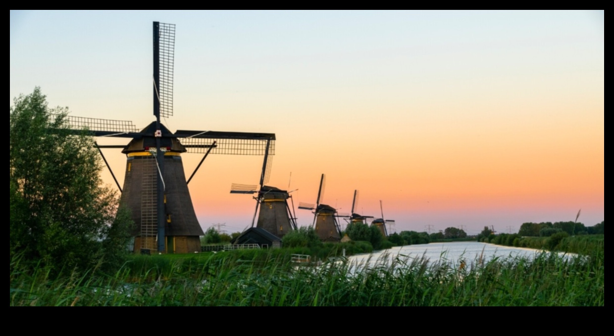 منتجات الألبان الهولندية: تمثيلات فنية للحياة الريفية