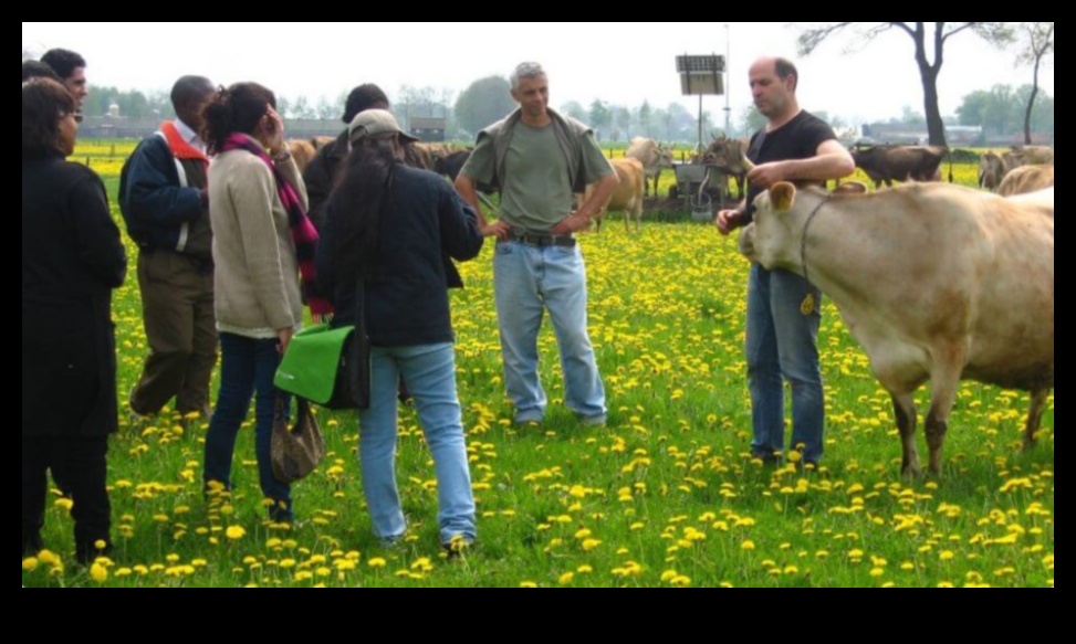 منتجات الألبان الهولندية: تمثيلات فنية للحياة الريفية