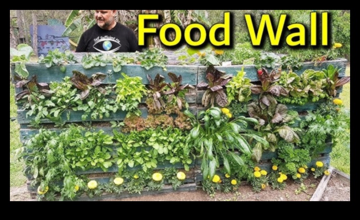 مساحة صغيرة، خضراء كبيرة: أسرار البستنة الحضرية