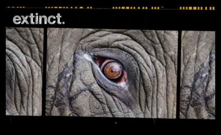 كيف تساهم المناظر الطبيعية في الحفاظ على الأنواع المهددة بالانقراض؟