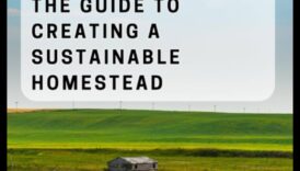 حصاد روح الفريق برهان للزراعة المستدامة 2 Harvest Harmony II: مواصلة الاحتفال بجمال الأراضي الزراعية