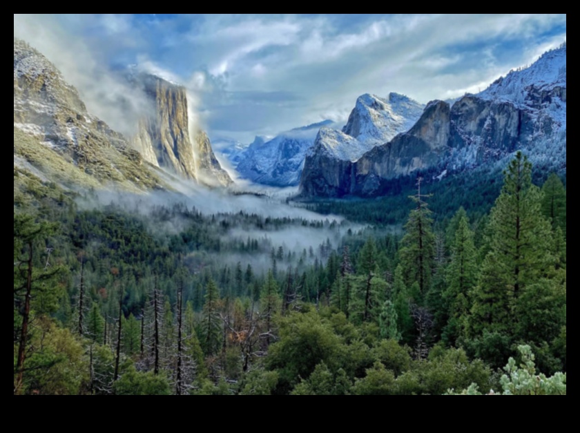 رحلة إلى الصفاء: مناظر طبيعية خلابة