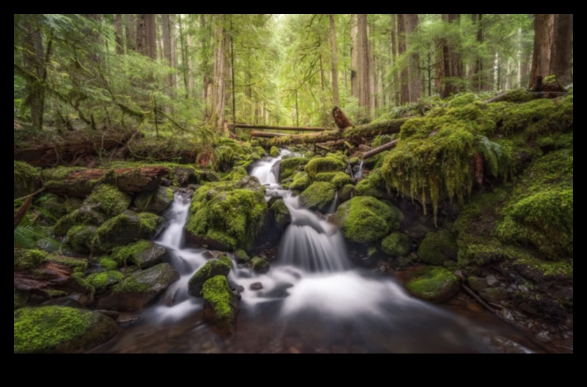 رحلة إلى الصفاء: مناظر طبيعية خلابة