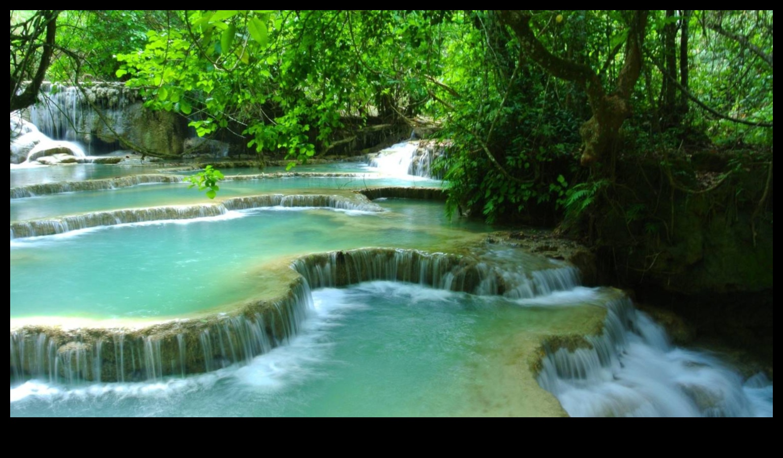 احتضان الطبيعة: رحلة عبر المناظر الطبيعية الخصبة