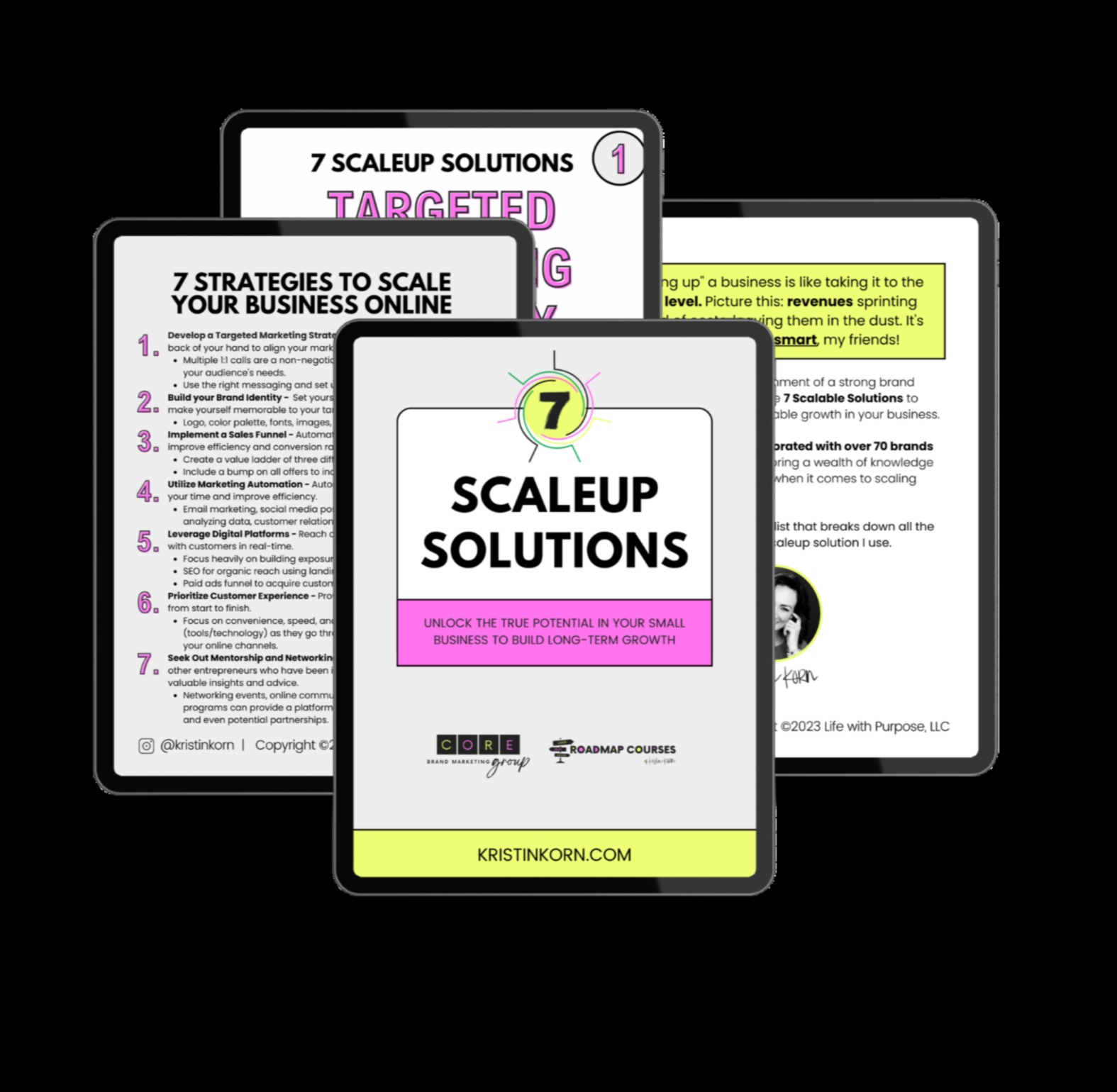 توسيع نطاق التميز: استراتيجيات لتنمية أعمالك