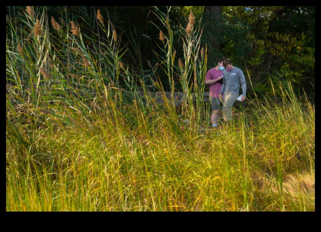 الشواطئ في التركيز: إعادة اكتشاف الأعاجيب الساحلية والساحلية
