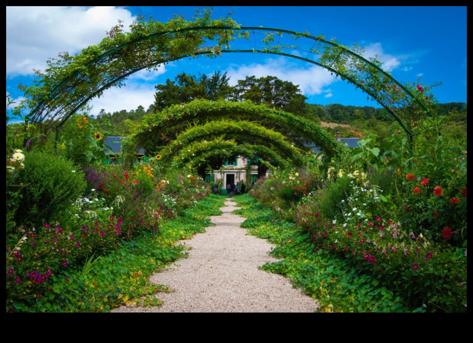 الممرات إلى الجنة: تصميم الحديقة والهدوء