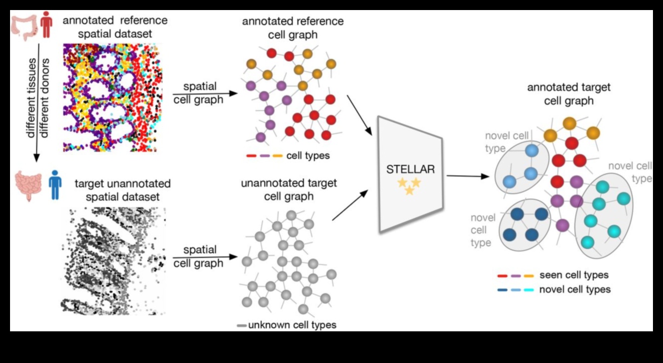 الحدود النجمية: رسم خرائط للمناطق المجهولة من خلال أبحاث الفضاء