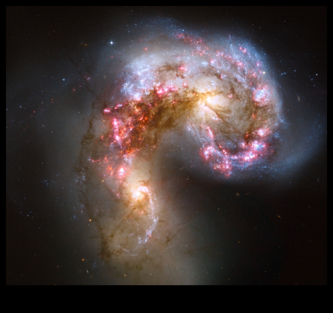 التتويج الكوني: الملوك وسط اتساع الفضاء