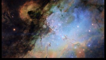 التتويج الكوني: الملوك وسط اتساع الفضاء