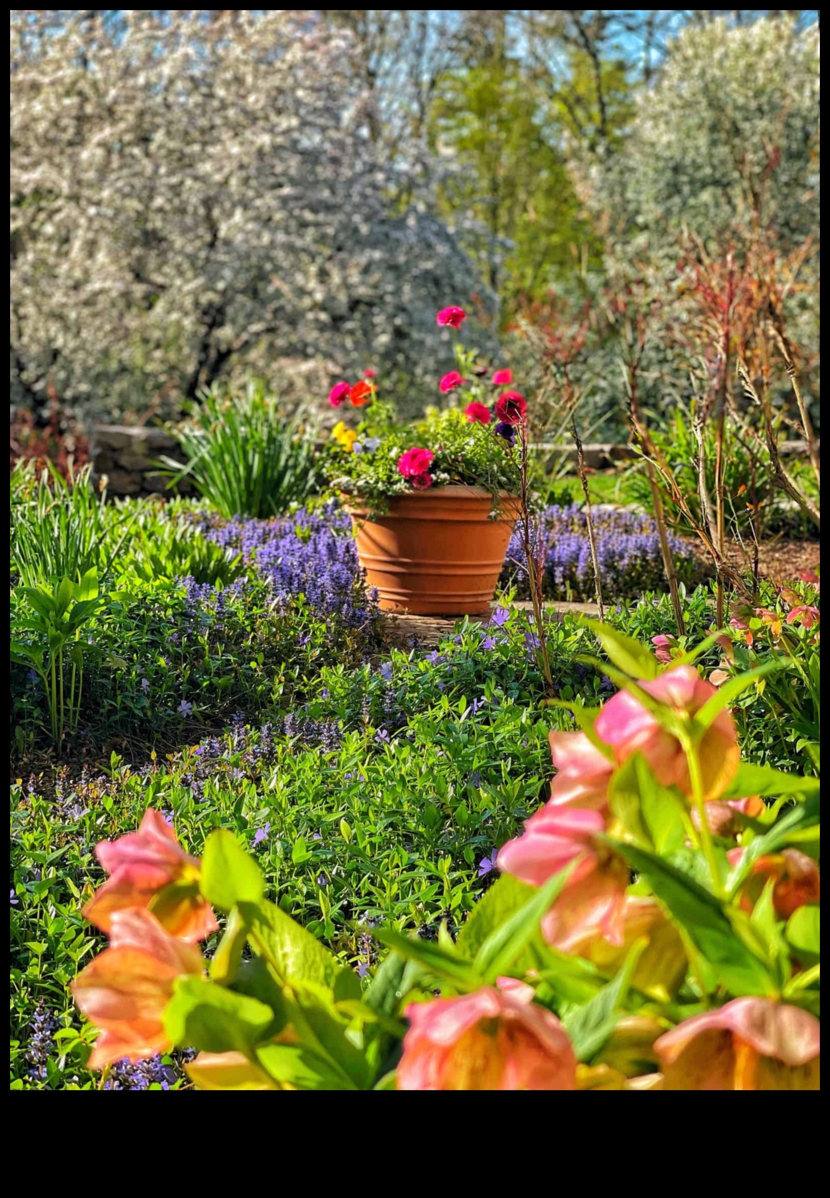 بلوسوم بليس: دليلك لصيانة الحدائق على مدار العام