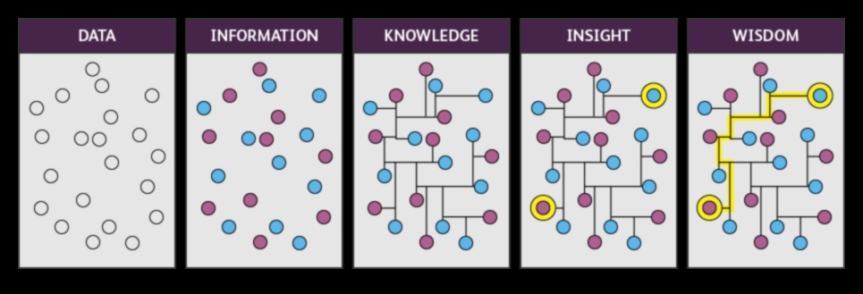 استراتيجيات البصيرة المستدامة: الحكمة التجارية في تحليلات البيانات